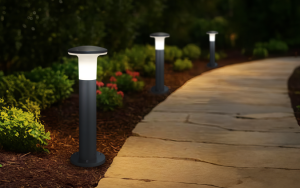 Alpa-T Pole Light