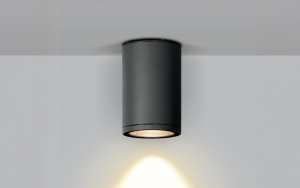 Cody Ceiling Light