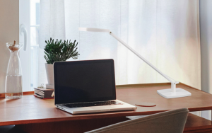 Miss Single Arm Desk Lamp