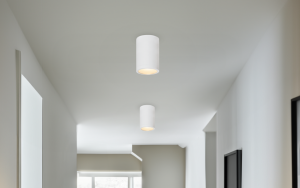 Zuka Ceiling Light