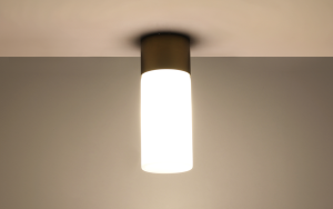 Vega mini tube Ceiling Light
