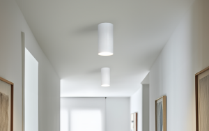 Zuka Deep Ceiling Light