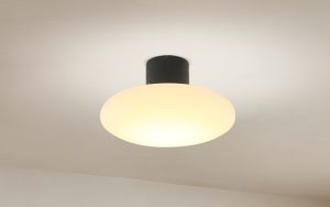 Basky wall or ceiling light